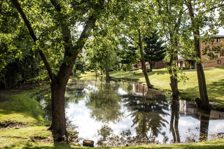 willow view summer pool pond area_16